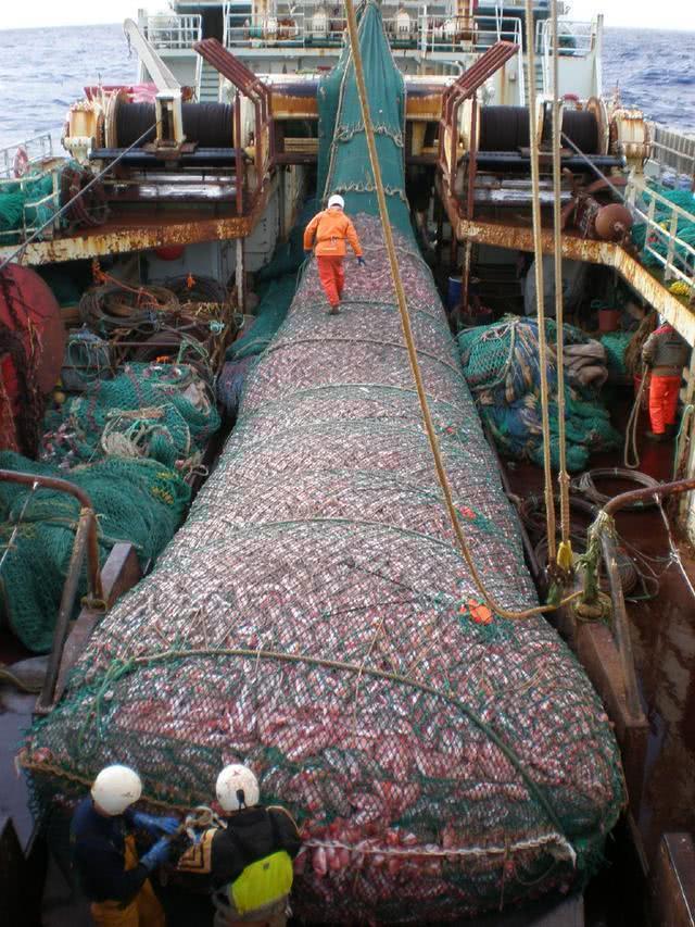 The world's largest trawler