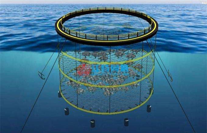 Vad är deep water cage kulturteknik